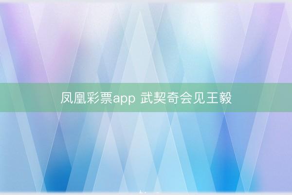 凤凰彩票app 武契奇会见王毅