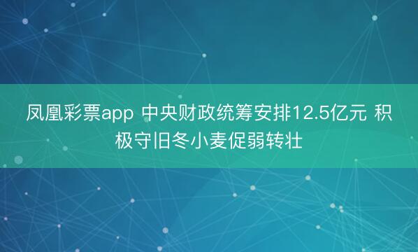 凤凰彩票app 中央财政统筹安排12.5亿元 积极守旧冬小麦促弱转壮