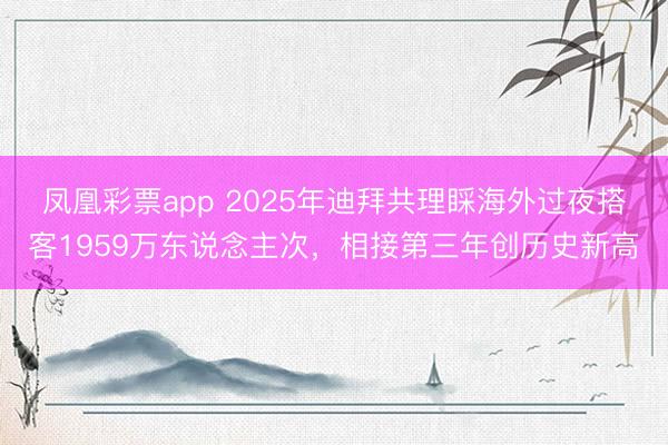 凤凰彩票app 2025年迪拜共理睬海外过夜搭客1959万东说念主次,相接第三年创历史新高