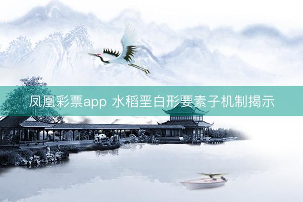凤凰彩票app 水稻垩白形要素子机制揭示