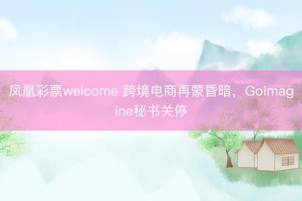 凤凰彩票welcome 跨境电商再蒙昏暗,Goimagine秘书关停