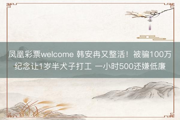 凤凰彩票welcome 韩安冉又整活！被骗100万纪念让1岁半犬子打工 一小时500还嫌低廉
